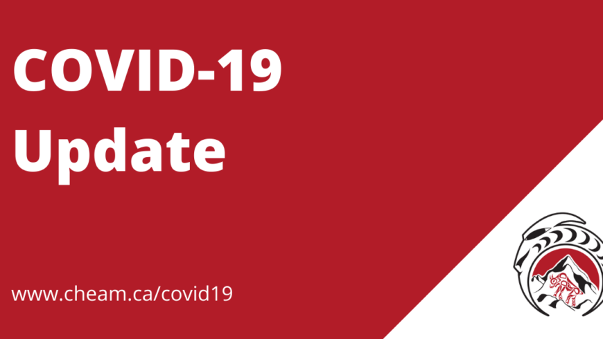 January 3, 2021 COVID-19 Update
