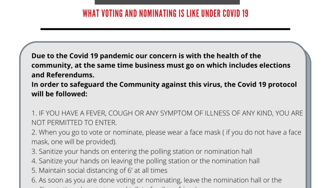 Voting during COVID 19