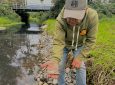 Hope Slough Spill Kills Thousands of Juvenile Salmon