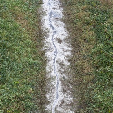 ANOTHER TOXIC WASTE DISCHARGE DISCOVERED IN THE HOPE SLOUGH